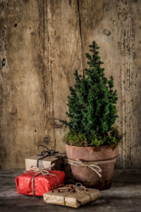 Christmassy still life with a small Christmas tree in the terrakotta pot and presents in front of a wooden wall Christmassy still life with a small Christmas tree in the terrakotta pot and presents in front of a wooden wall